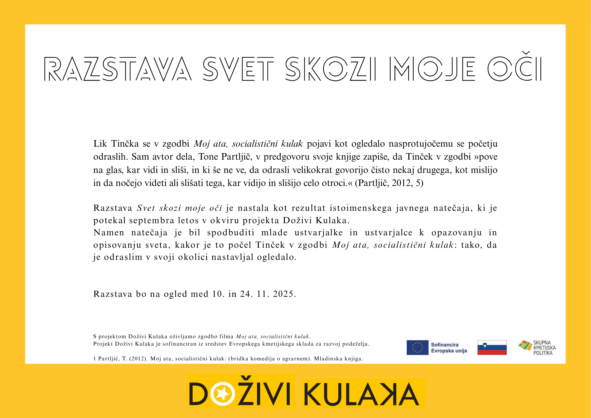 Pripis k razstavi Svet skozi moje oči